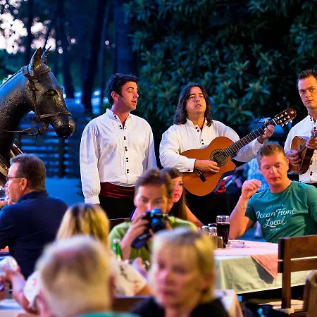 Zaton Holiday Resort.6 Апартаменты